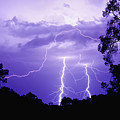 Lightening Bolts by Michelle Wrighton