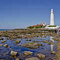 Lighthouse at low tide. Photograph by Elena Perelman Lighthouse at low tide. Photograph by Elena Perelman