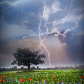 Lightning at Sunset After the Rain Photograph by Debra and Dave Vanderlaan Lightning at Sunset After the Rain Photograph by Debra and Dave Vanderlaan