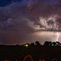 Lightning Stormy Weather of Sunflowers Photograph by James BO Insogna Lightning Stormy Weather of Sunflowers Photograph by James BO Insogna
