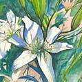 Lillies two Painting by Darren Cannell Lillies two Painting by Darren Cannell