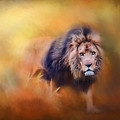 Lion - Pride Of Africa 3 - Tribute To Cecil by Michelle Wrighton