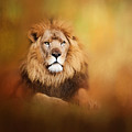 Lion - Pride Of Africa I - Tribute To Cecil by Michelle Wrighton