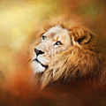 Lion - Pride Of Africa II - Tribute To Cecil by Michelle Wrighton
