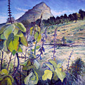 Lions Head from Signal Hill Cape Town South Africa 2006 by Enver Larney Lions Head from Signal Hill Cape Town South Africa 2006 by Enver Larney