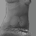 Liquid Metal Nude by Claudia Goodell