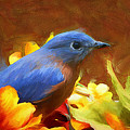 Little Boy Blue Painting by Tina LeCour Little Boy Blue Painting by Tina LeCour