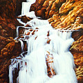 Little Firehole Falls by Teri Rosario Little Firehole Falls by Teri Rosario