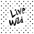 Live Wild by Pati Photography Live Wild by Pati Photography