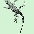 Lizard In Sage Green by Colleen Cornelius Lizard In Sage Green by Colleen Cornelius