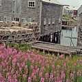 Lobster House Grand Manan Photograph by Thomas Marchessault Lobster House Grand Manan Photograph by Thomas Marchessault