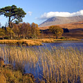 Loch Tulla Bridge of Orchy by John McKinlay