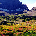 Logans Pass in Glacier National Park by Nancy Mueller Logans Pass in Glacier National Park by Nancy Mueller
