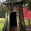 Loggers Outhouse by Clayton Bruster Loggers Outhouse by Clayton Bruster