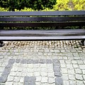 Lonely bunch Photograph by Piotr Dulski Lonely bunch Photograph by Piotr Dulski