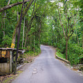 Lonely Country Road by Debbie Ann Powell Lonely Country Road by Debbie Ann Powell