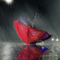 Lonely Umbrella Digital Art by Darren Cannell Lonely Umbrella Digital Art by Darren Cannell