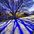 Long afternoon shadows Digital Art by Lilia D Long afternoon shadows Digital Art by Lilia D