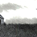 Long Ago Drawing by Jonathan Baldock