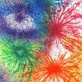 Look For The Rainbow When It Rains #446 by Rainbow Artist Orlando L