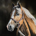 Look on the Bright Side Pastel by Joni Beinborn Look on the Bright Side Pastel by Joni Beinborn