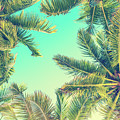 Looking Up by Delphimages Photo Creations Looking Up by Delphimages Photo Creations