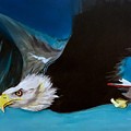 Lost Raptor by Marlene Burns