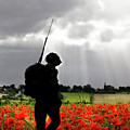 Lost Soldier Digital Art by Airpower Art Lost Soldier Digital Art by Airpower Art