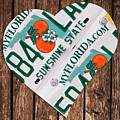 I Love Florida, license plates heart by Delphimages Photo Creations