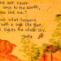 Love Lights the Whole Sky by Vonda Drees Love Lights the Whole Sky by Vonda Drees