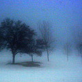 Love me in the mist Photograph by Julie Lueders Love me in the mist Photograph by Julie Lueders