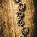 Love Of Rustic Jewellery by Jorgo Photography - Wall Art Gallery Love Of Rustic Jewellery by Jorgo Photography - Wall Art Gallery