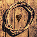 Love Of The Sea by Jorgo Photography - Wall Art Gallery Love Of The Sea by Jorgo Photography - Wall Art Gallery