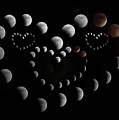 Love You To The Moon And Back by Betsy Knapp Love You To The Moon And Back by Betsy Knapp