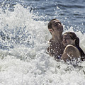 Lovers in the Surf Photograph by WAZgriffin Digital Lovers in the Surf Photograph by WAZgriffin Digital