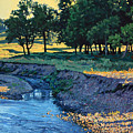 Low Water Morning by Bruce Morrison Low Water Morning by Bruce Morrison