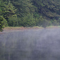 Lowcountry Morning Lake Fog Photograph by Dale Powell Lowcountry Morning Lake Fog Photograph by Dale Powell