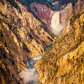 Lower Falls - Yellowstone Photograph by Rikk Flohr Lower Falls - Yellowstone Photograph by Rikk Flohr