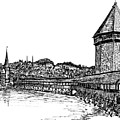 Lucerne Drawing by Frank SantAgata Lucerne Drawing by Frank SantAgata