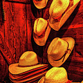Luckenbach Hats Hdr by Judy Vincent Luckenbach Hats Hdr by Judy Vincent
