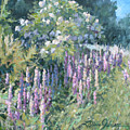 Lupine On Parade by L Diane Johnson Lupine On Parade by L Diane Johnson