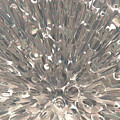 Macro Fractal Abstract Digital Art by Phil Perkins Macro Fractal Abstract Digital Art by Phil Perkins