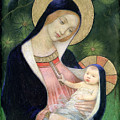 Madonna of the Fir Tree Painting by Marianne Stokes Madonna of the Fir Tree Painting by Marianne Stokes