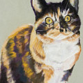 Maggie Mae by Pat Saunders-White Maggie Mae by Pat Saunders-White