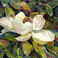 Magnolia Blossom Painting by Hailey E Herrera Magnolia Blossom Painting by Hailey E Herrera