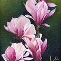 Magnolia Celebration I by Daniela Easter