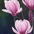 Magnolia Celebration III by Daniela Easter