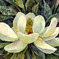 Magnolia Grandiflora Painting by Hailey E Herrera Magnolia Grandiflora Painting by Hailey E Herrera
