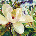 Magnolia Melody Painting by Hailey E Herrera Magnolia Melody Painting by Hailey E Herrera