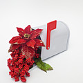 Mailbox Cheer by Diane Macdonald